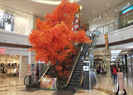 室內dp點